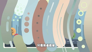 動畫專區-月月回饋入帳！P2P 投資安全又簡單💰-圖